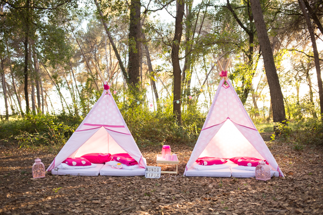 tipis-rosas-en-bosque